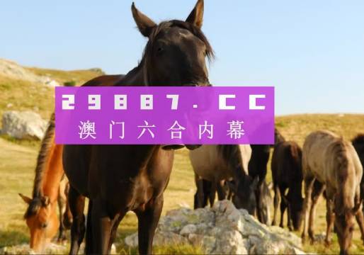 澳门管家婆一肖一码一中一开|精选资料解析落实