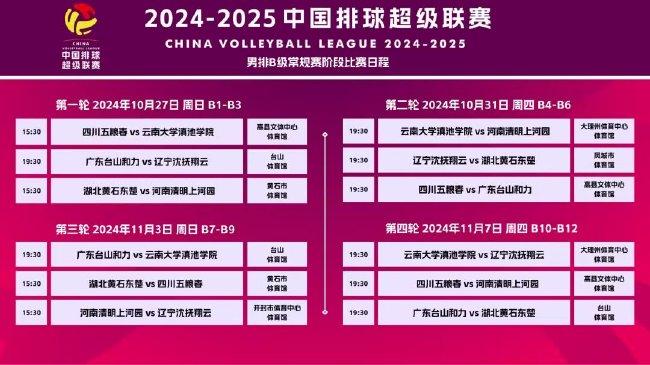 2024新澳开奖结果|精选资料解析落实