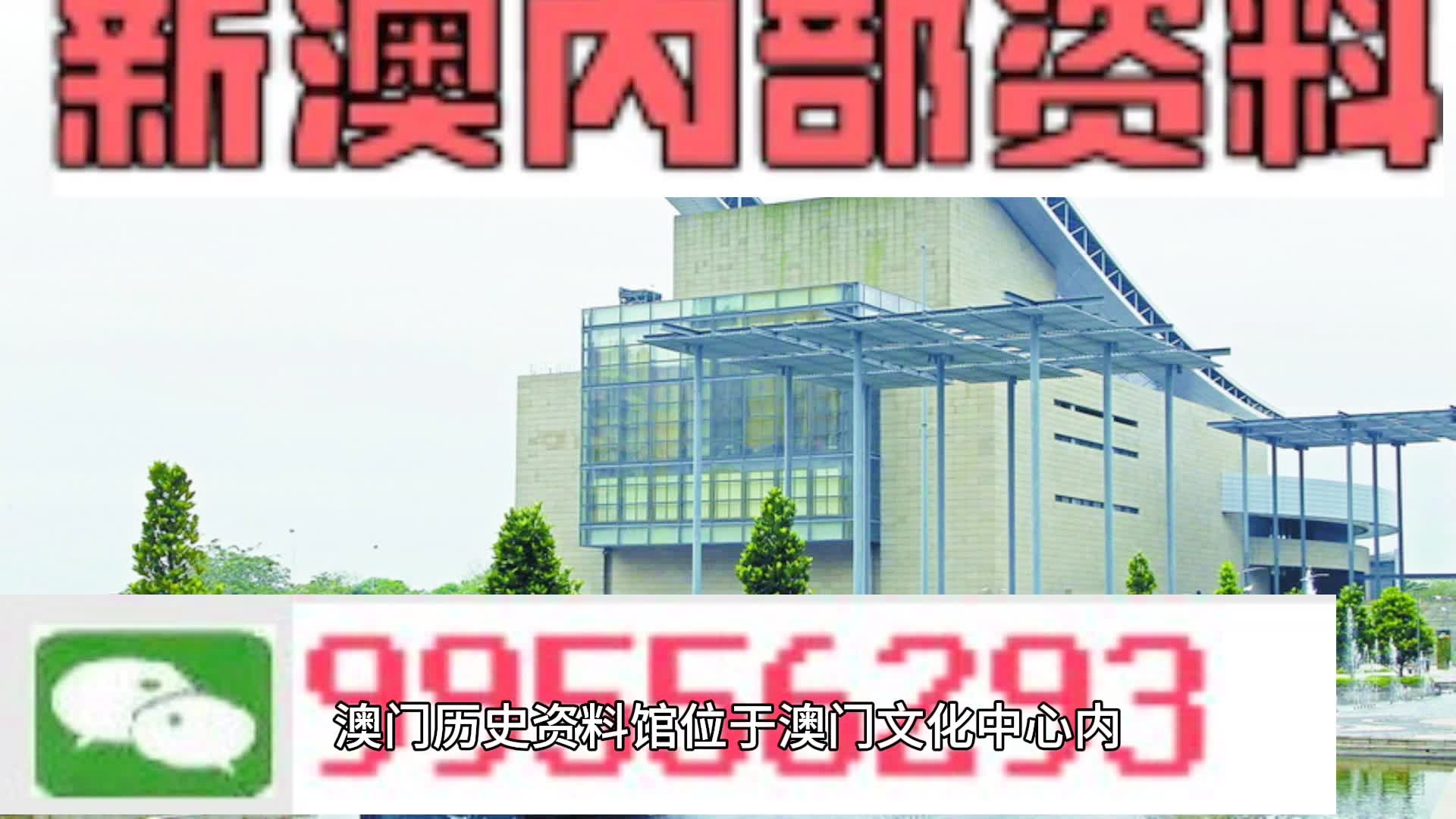 2024新澳门王中王正版|精选资料解析落实