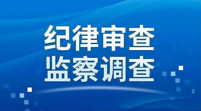 大连市纪检委最新消息