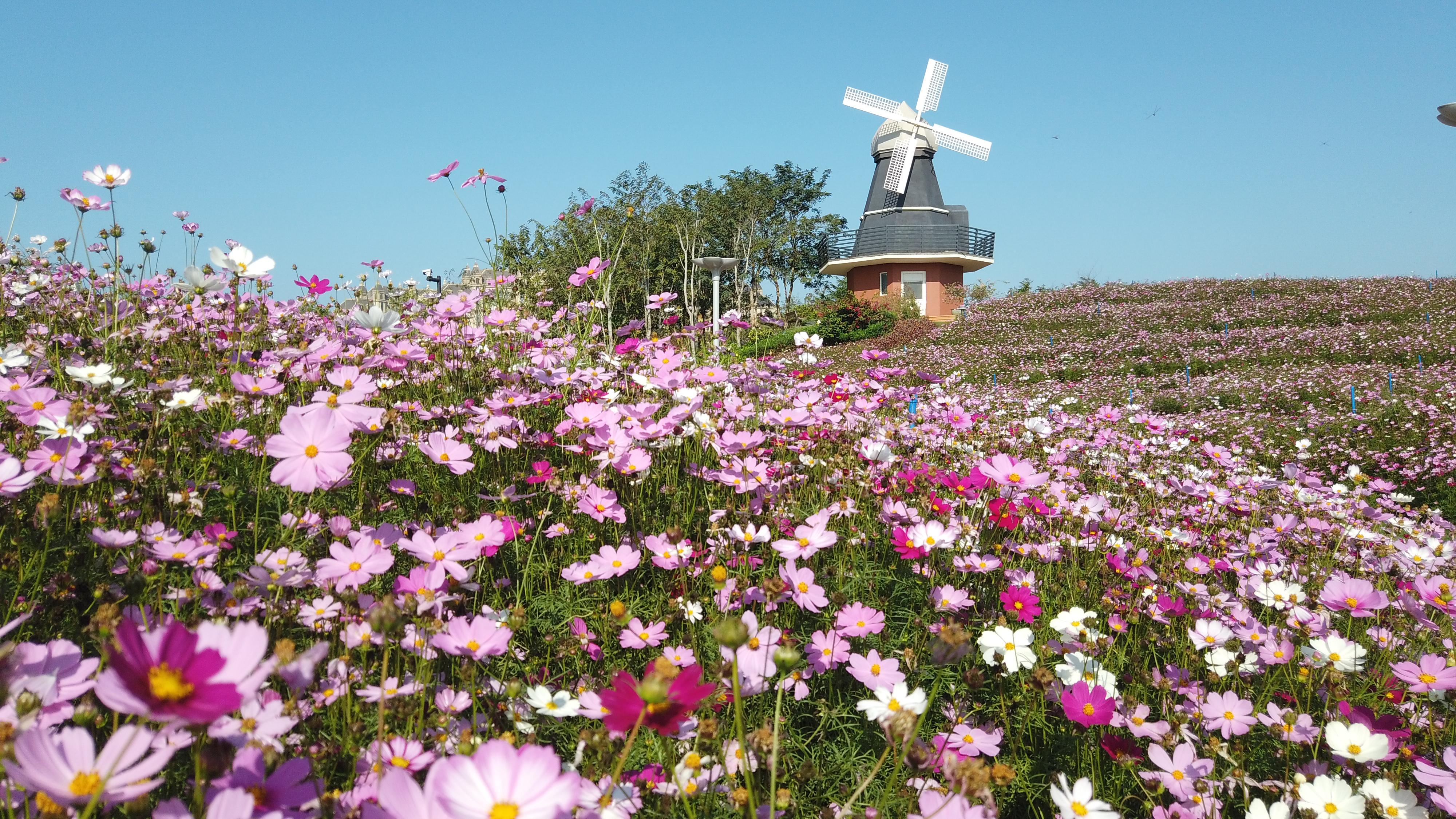 海花岛建设最新进展图