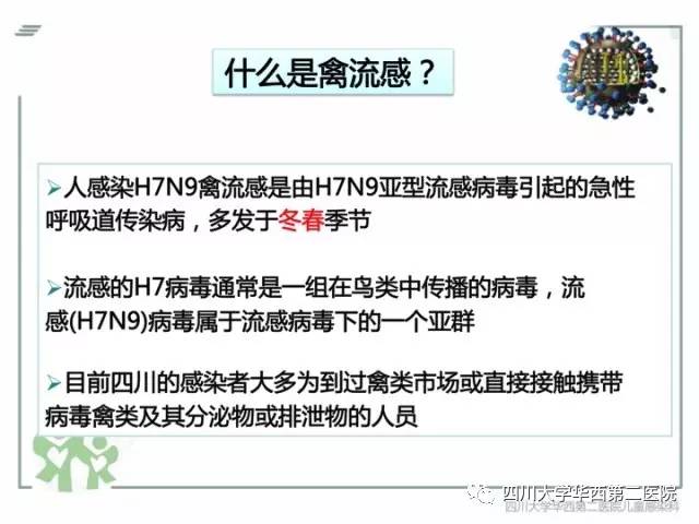 h1n9禽流感最新消息