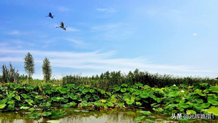 淮河入海道二期工程最新情况