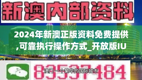 2024年新澳正版资料查询方法|精选资料解析大全